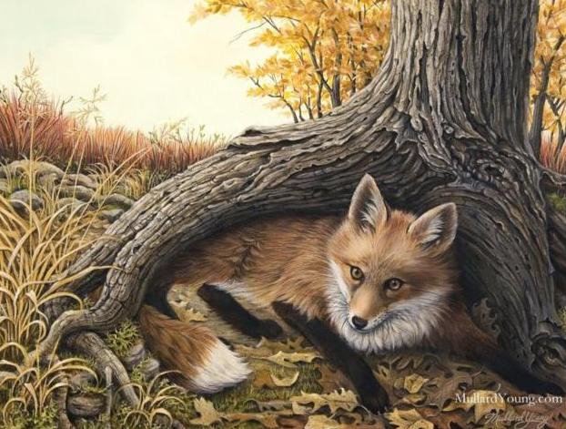 Лиса под деревом - лес, животные, лиса - оригинал
