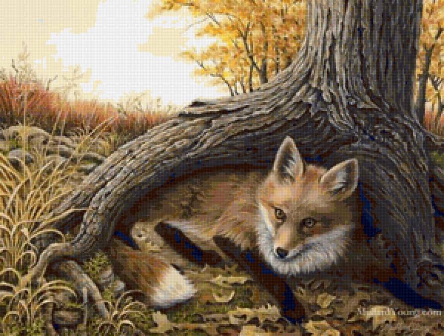 Лиса под деревом - лиса, лес, животные - предпросмотр