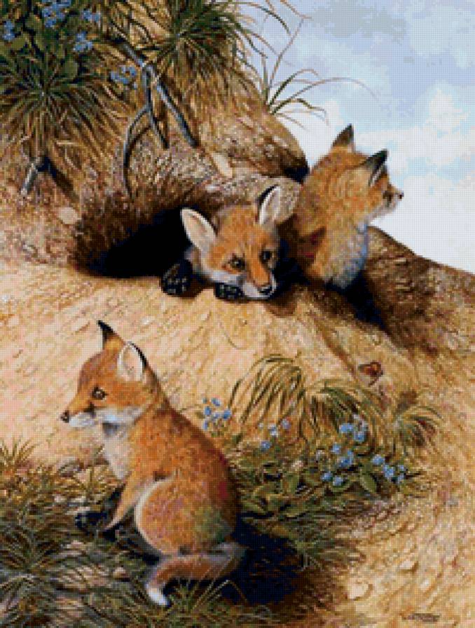 Лисята - лисенок, животные, лиса - предпросмотр