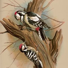 Схема вышивки «дятлы»