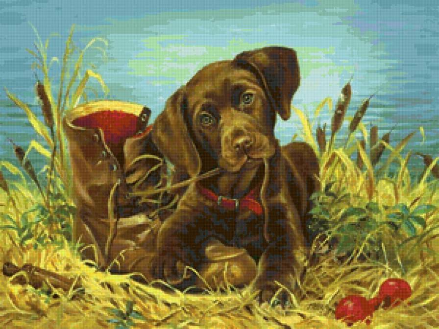 Шнурок во рту - собака, животные, щенок - предпросмотр