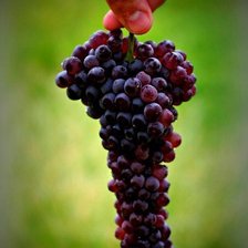 Схема вышивки «№75385»