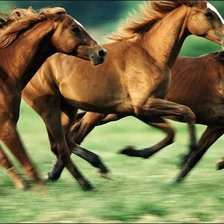 Схема вышивки «№75440»