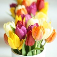 Схема вышивки «№75498»