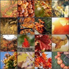 Схема вышивки «№75506»