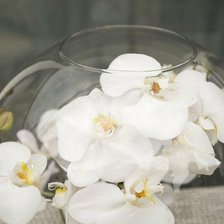 Схема вышивки «№75507»