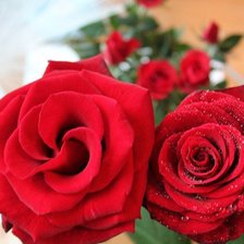 Схема вышивки «№75509»