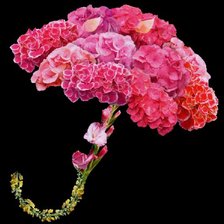 Схема вышивки «букет-зонтик»