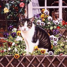 Схема вышивки «Кошка Деби-Кук»