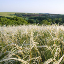 Схема вышивки «№76206»