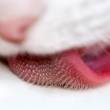 Схема вышивки «№76213»