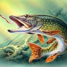 Схема вышивки «Щука»