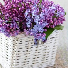 Схема вышивки «Сирень»