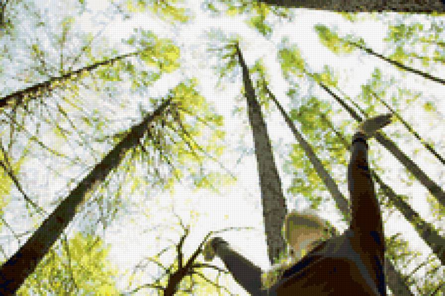 Вверх - люди, природа, весна - предпросмотр