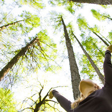 Схема вышивки «Вверх»