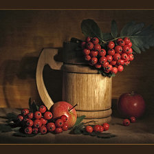 Схема вышивки «рябинка»