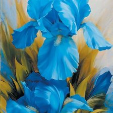 Голубое чудо