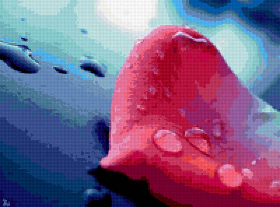 лепесток с каплями росы - цветы, капли, роса, лепесток - предпросмотр