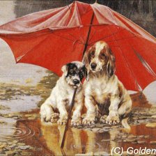 Схема вышивки «№76538»