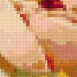 Предпросмотр схемы вышивки «№76571»
