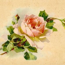 Схема вышивки «№76571»