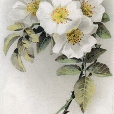 Схема вышивки «№76574»