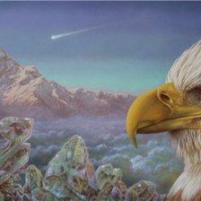 Схема вышивки «орел»