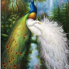 Схема вышивки «павлины»