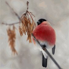 Схема вышивки «Снегирь»