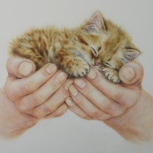 Схема вышивки «Нежность»