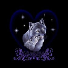 волчья нежность