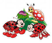 божьи коровки