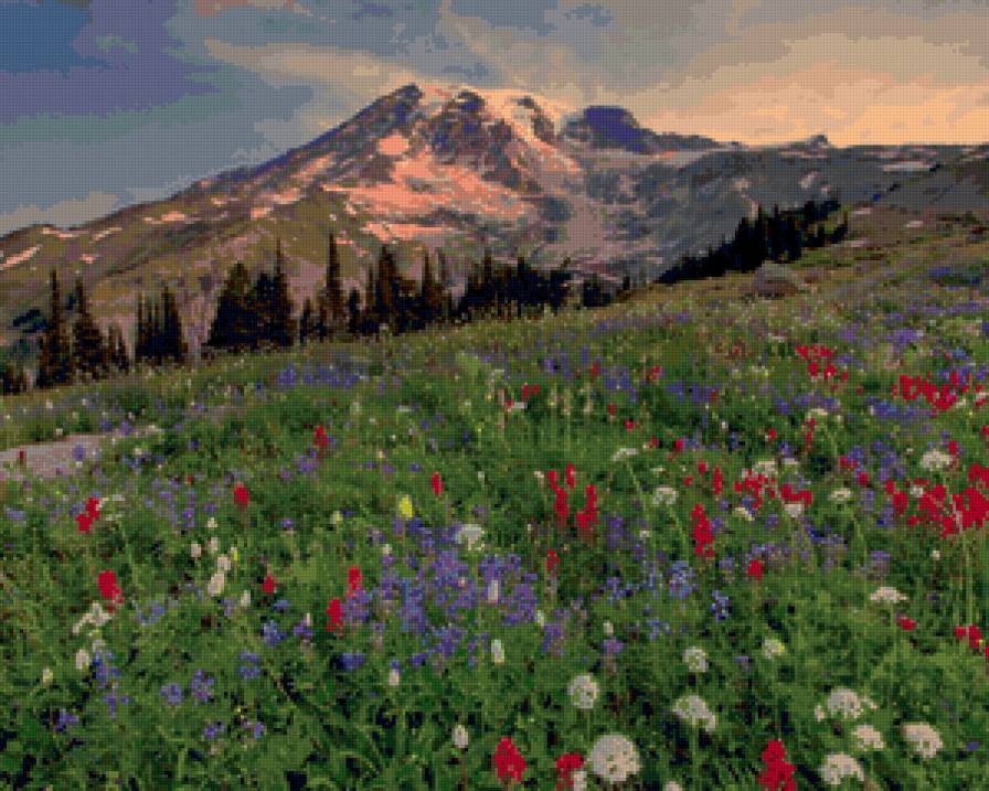 586 - горы, цветы, природа - предпросмотр