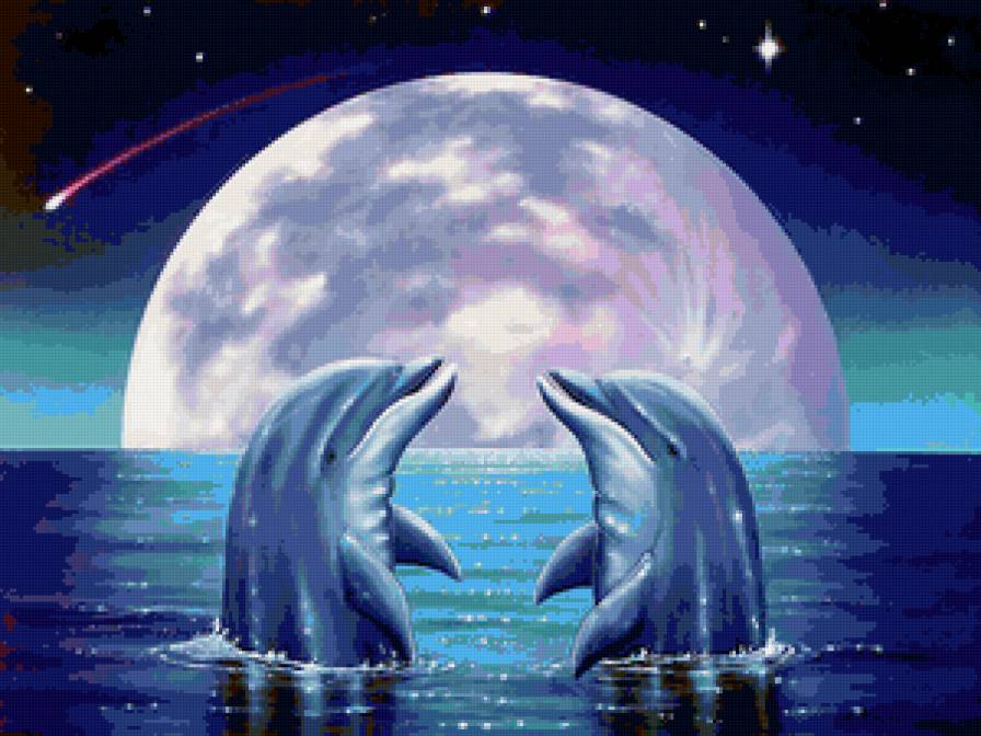 парочка - луна, море, ночь, любовь, дельфины - предпросмотр