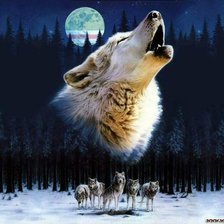 Схема вышивки «волки»