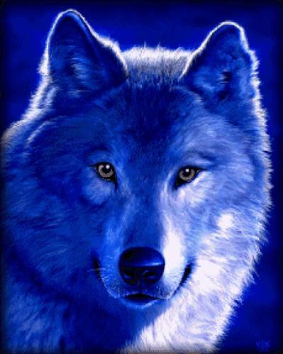 волк - волк - оригинал