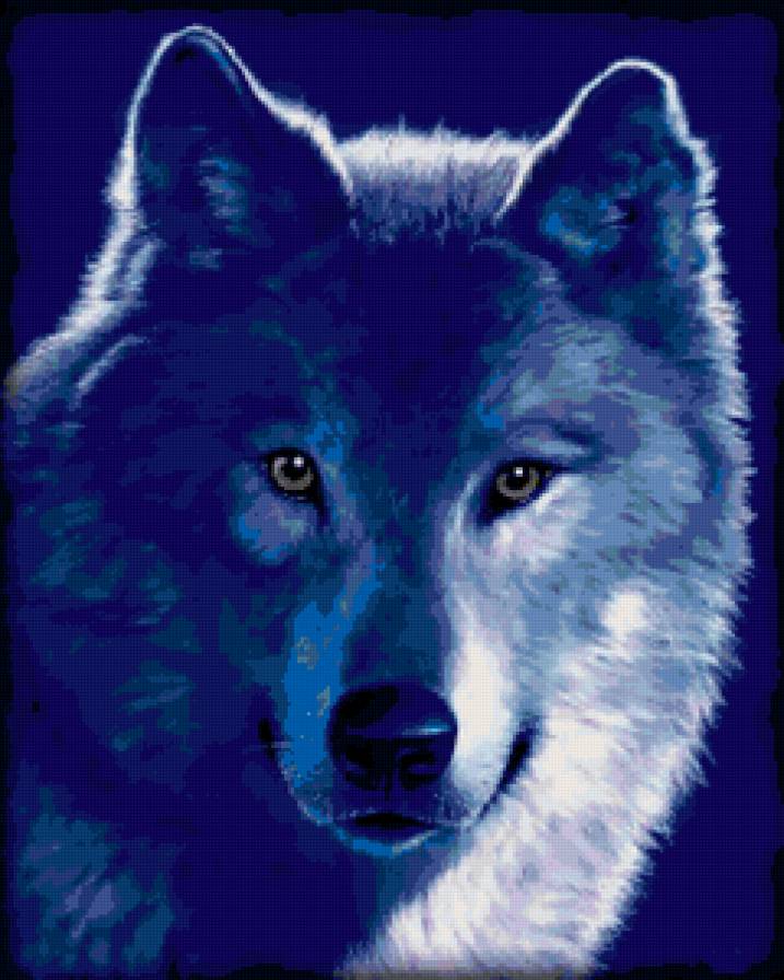 волк - волк - предпросмотр