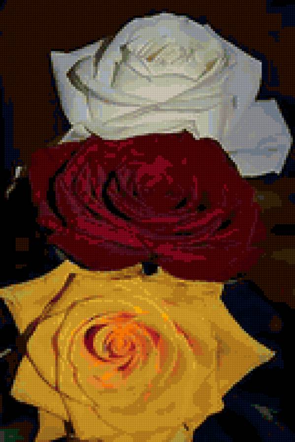 Trikolor - rosi. - предпросмотр