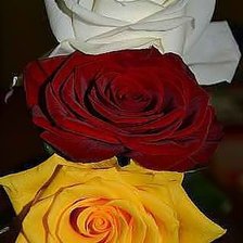 Схема вышивки «Trikolor»