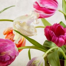 Схема вышивки «Тюльпаны»