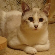 Схема вышивки «Кузя»