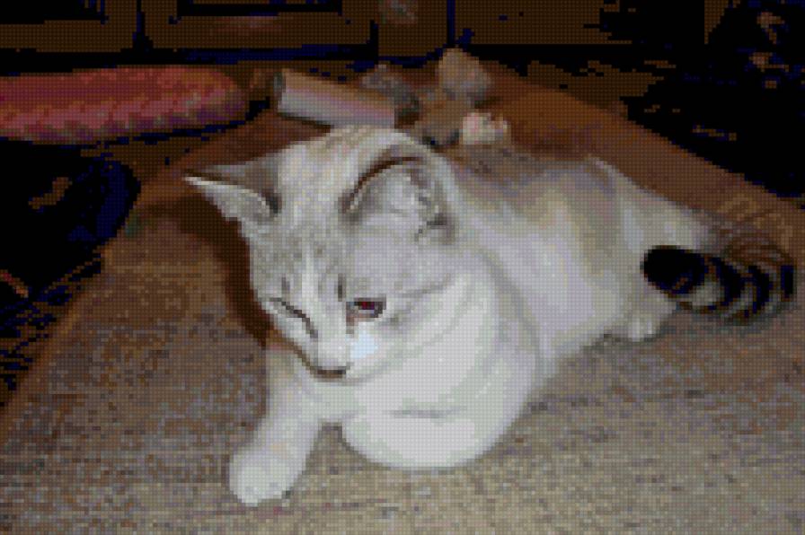 кузя 2 - кошка - предпросмотр