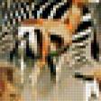 Предпросмотр схемы вышивки «фауна африки» (№77059)