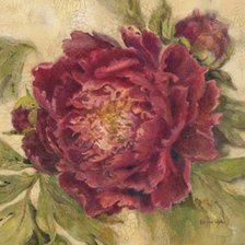 Схема вышивки «пион»