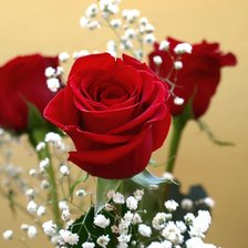 Схема вышивки «№77107»