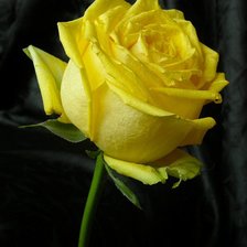 Схема вышивки «№77126»