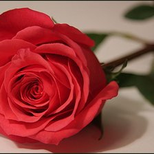 Схема вышивки «№77134»