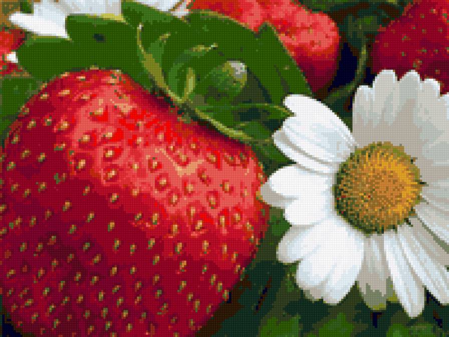 №77141 - цветы, ягоды, клубника, ромашки - предпросмотр