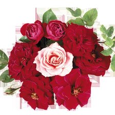 Схема вышивки «№77164»