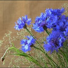 Схема вышивки «№77210»